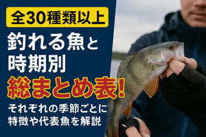 【全30種類以上】釣れる魚と時期別総まとめ表!それぞれの季節ごとに特徴や代表魚を解説