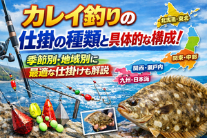 カレイ釣りの仕掛の種類と具体的な構成!季節別・地域別に最適な仕掛けも解説