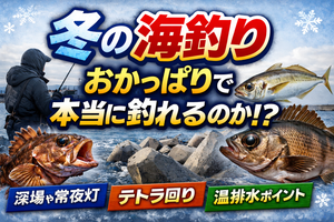 タイトル:冬の海釣りおかっぱりで釣果を出す方法!狙える魚種やポイント選び・おすすめまで