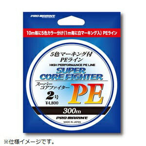 【アウトレット】スーパーコアファイターPE 300m 6号