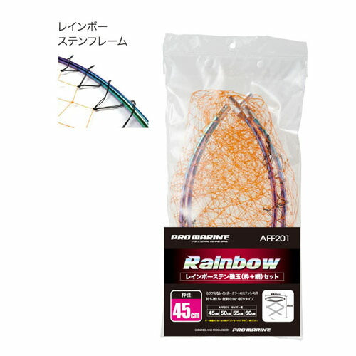 レインボーステン磯玉網セット 45cm