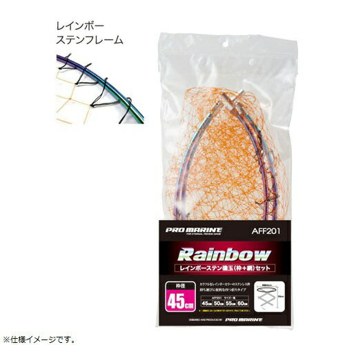 レインボーステン磯玉網セット 55cm