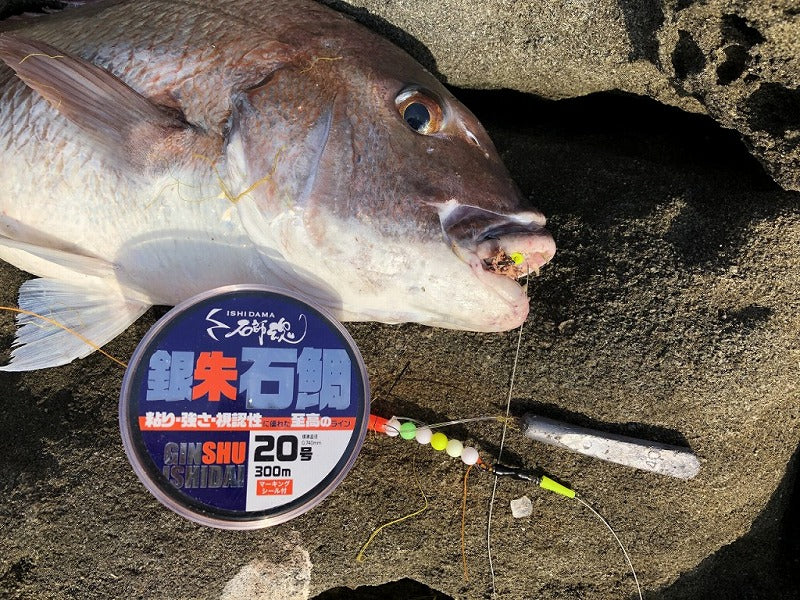 石師魂 イシダマ 銀朱石鯛 石鯛用ライン ギンシュイシダイ オレンジ 18号 300m