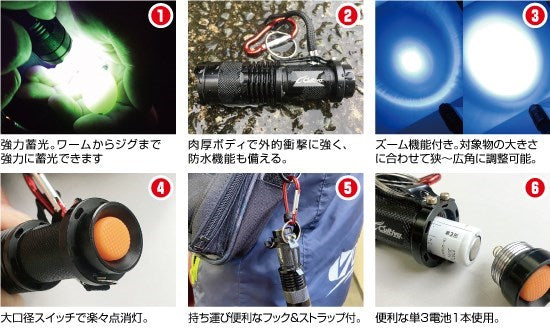 8970 FT-81 最強UVライト