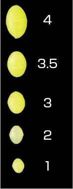 道具屋 夜光玉ソフト 3 30個入