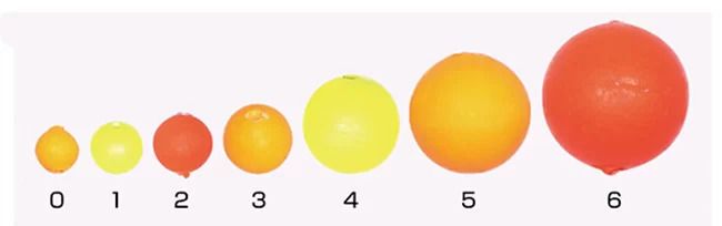 【アウトレット】道具屋 丸シモリストッパー アソート品 色指定不可 3号 5個入