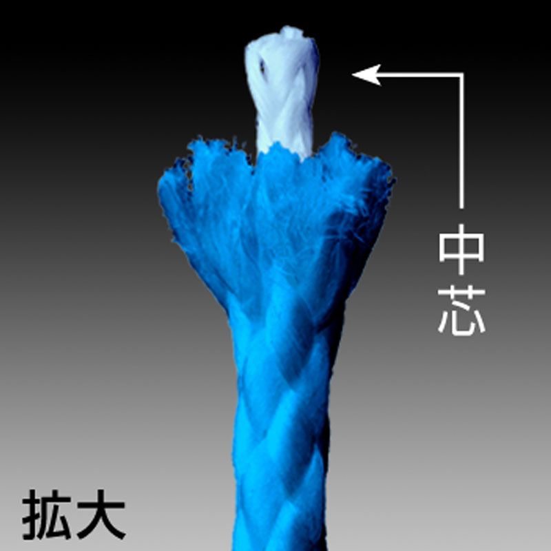 【アウトレット】ブルーアシストPE 50LB