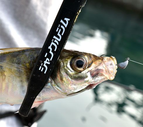 JGクリアステッカー クリア