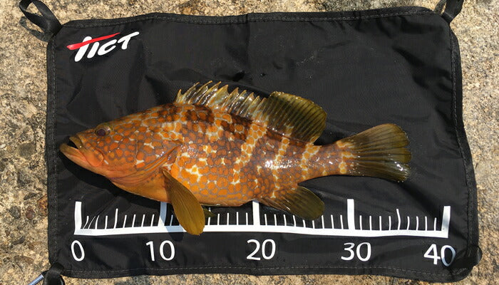 フィッシングマット ブラック Mサイズ/W65×H45cm