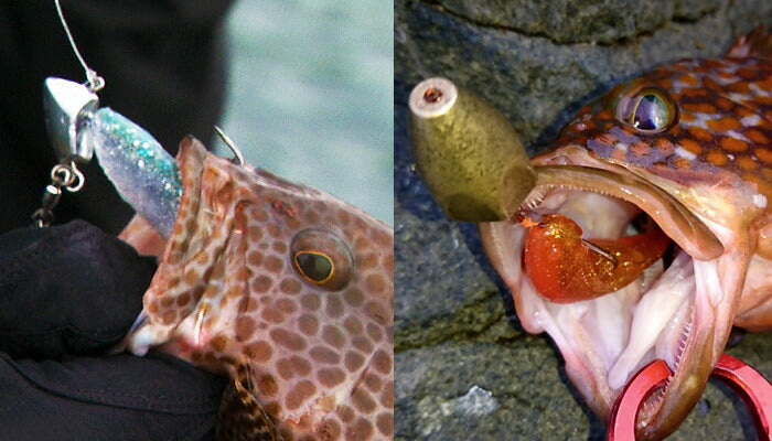 G-ボールシャッド G-BALLSHAD GC-17/金粉アカキン 3.5インチ 6ヶ入