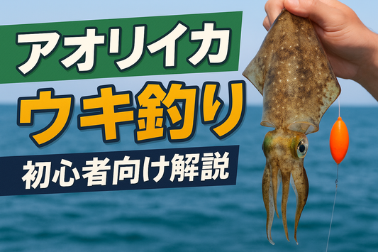 【アオリイカのウキ釣り入門】釣れる時間帯・場所・仕掛けをわかりやすく紹介