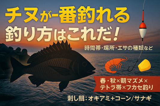 チヌが一番釣れる釣り方はこれだ！時間帯・場所・エサの種類など