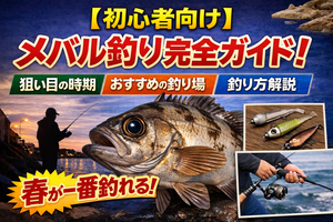 【初心者向け】メバル釣り完全ガイド！最適な時期や場所、釣り方を解説
