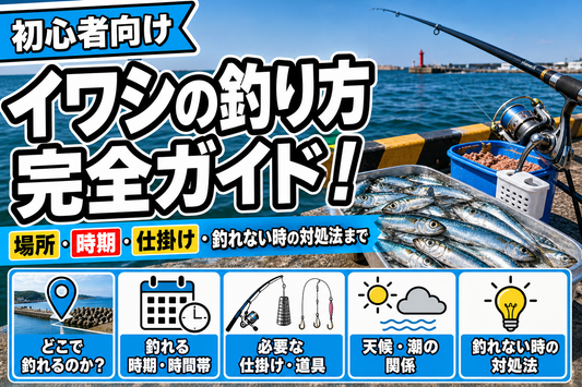 【初心者向け】イワシの釣り方完全ガイド！場所・時期・仕掛け・釣れない時の対処法まで