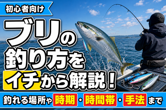 【初心者向け】ブリの釣り方をイチから解説！釣れる場所や時期・時間帯・手法まで