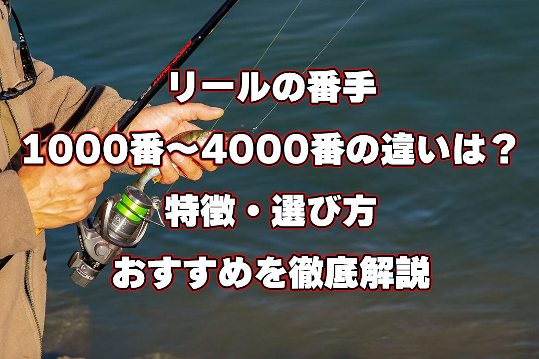 リールの番手1000番～4000番の違いは？特徴・選び方・おすすめを徹底解説