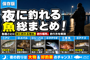 夜に釣れる魚総まとめ！魚種ごとに夜に釣れる理由、釣り場所、釣り方を解説