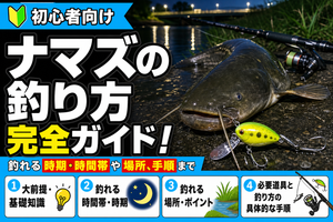 【初心者向け】ナマズの釣り方完全ガイド！釣れる時期・時間帯や場所、手順まで