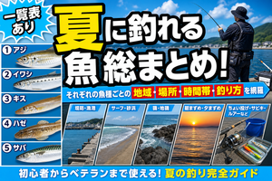 【一覧表あり】夏に釣れる魚総まとめ！それぞれの魚種ごとの地域・場所・時間帯・釣り方を網羅