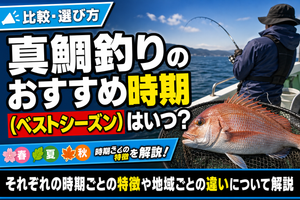 真鯛釣りのおすすめ時期（ベストシーズン）はいつ？それぞれの時期ごとの特徴や地域ごとの違いについて解説