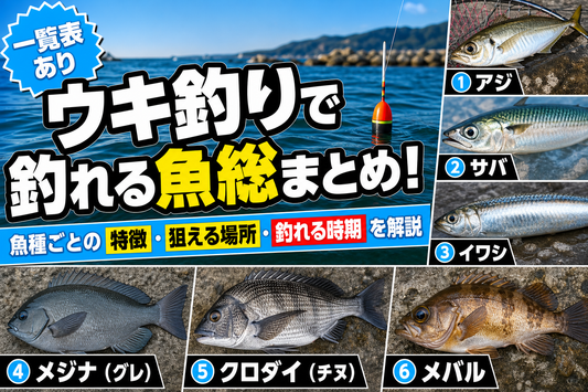 【一覧表あり】ウキ釣りで釣れる魚総まとめ！魚種ごとの特徴・狙える場所・釣れる時期を解説