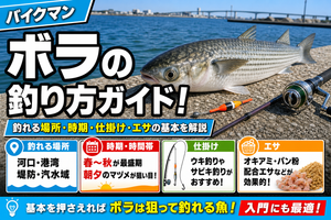 ボラの釣り方ガイド！釣れる場所・時期・仕掛け・エサの基本を解説