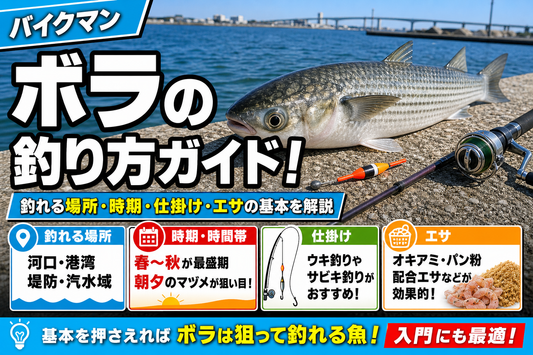 ボラの釣り方ガイド！釣れる場所・時期・仕掛け・エサの基本を解説