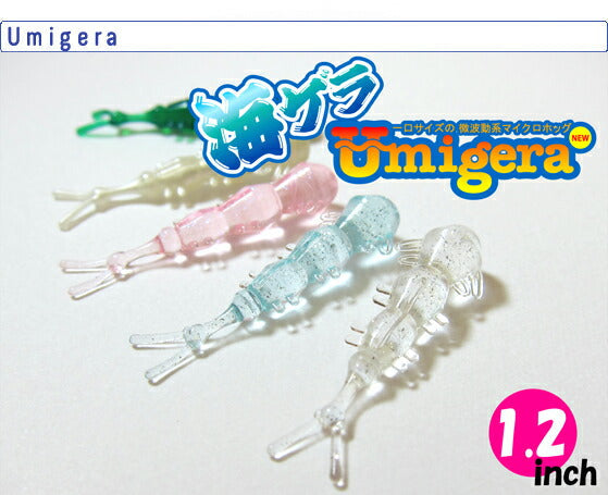 海ゲラ ウミゲラ アソート 1.2inch 6個