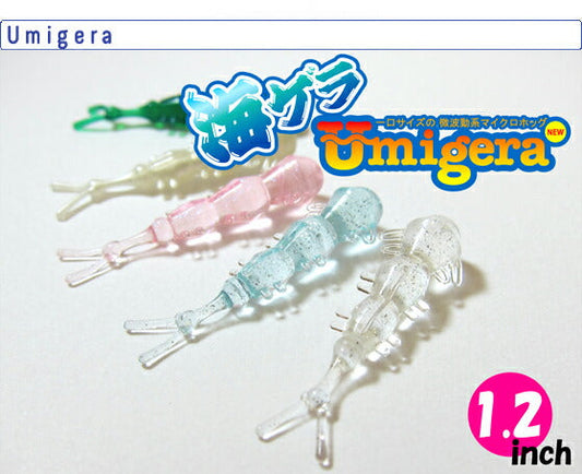 海ゲラ ウミゲラ アソート 1.2inch 6個