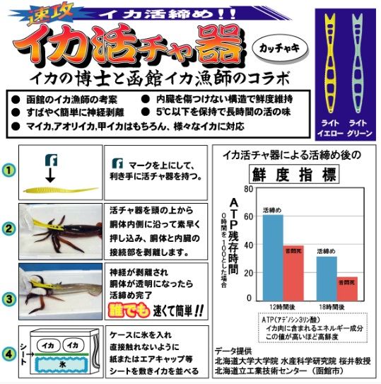 イカ活チャ器 ロングタイプ ライトグリーン 1個入