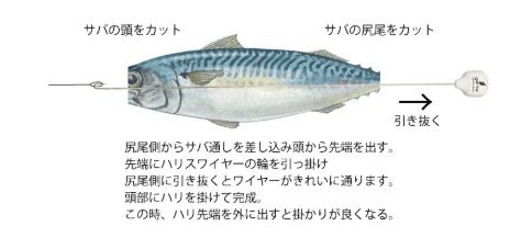 サバ骨抜きセット 参 1セット