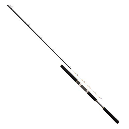 CB レジェンダー豪腕落し込み 200ML 両軸ベイトモデル 2.00m 257g