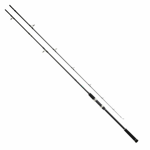 CB レジェスタショアジグLSJ 96M スピニングモデル 2.88m 246g