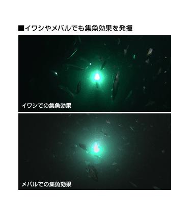 乾電池式LED 水中集魚灯 φ123×300mm