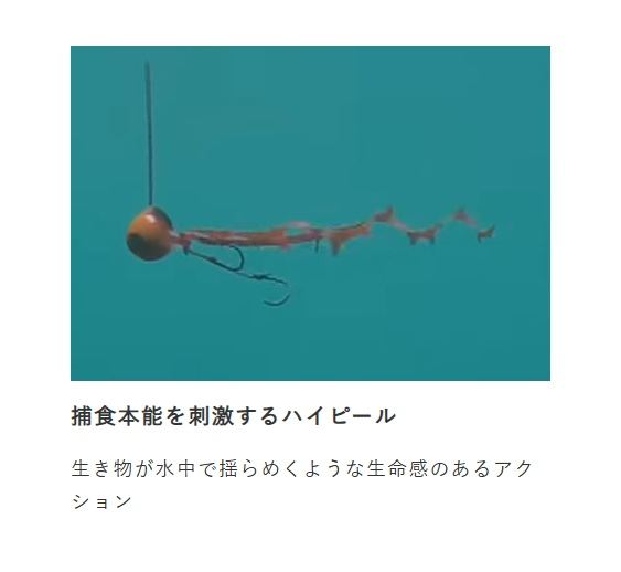 フリースライド カスタムシリコンネクタイ ドラゴンカーリースリム 5/エビオレンジゼブラ 3本入