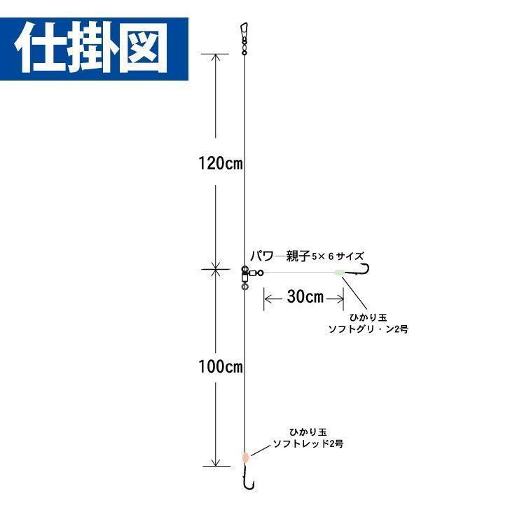 アマダイ フロロ 丸海津ケン付き 鈎12号/ハリス3号 2本鈎2セット