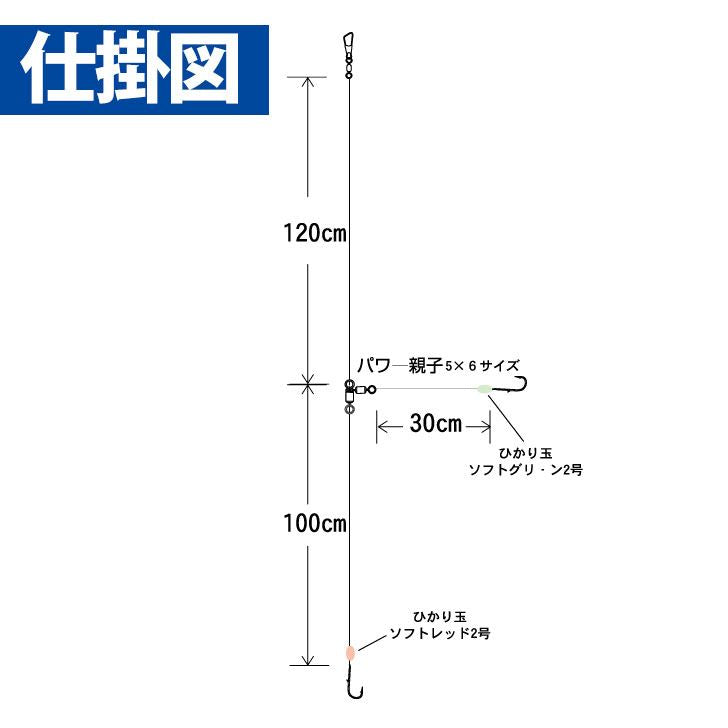 アマダイ フロロカーボン 丸海津ケン付き鈎仕様 鈎13号/ハリス3号 2本鈎2セット