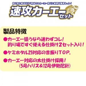 速攻カーエーセット1号