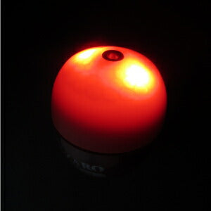 【アウトレット】NF LAZARO (エヌエフ ラザロ) オレンジ 1 S