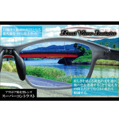 リアルビューインサイト タイプ6(フィット) グレー/ブルーレンズ