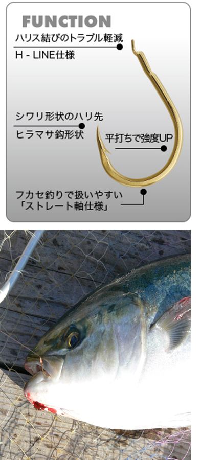 金フカセヒラマサ 12号   9本入り