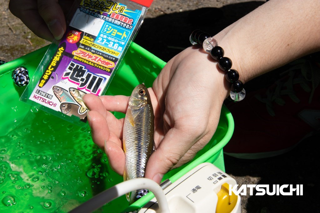 アジャスト仕掛 池・川 ショート 1セット＋予備2本