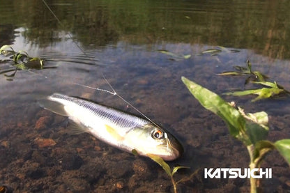 ゆらゆら川サビキ 赤金(アカキン) 1組