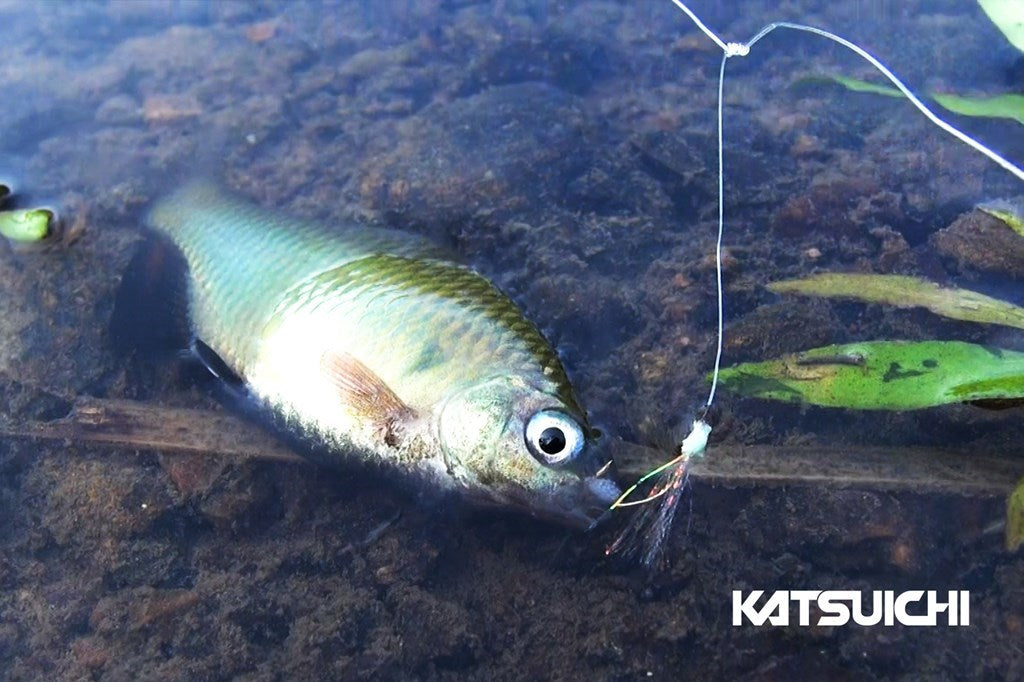 ゆらゆら川サビキ 赤金(アカキン) 1組