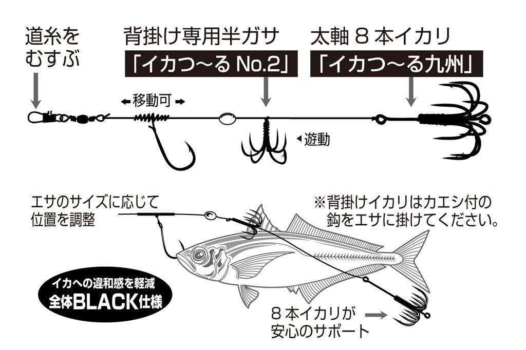 イカ一番 九州スタイル L 2組