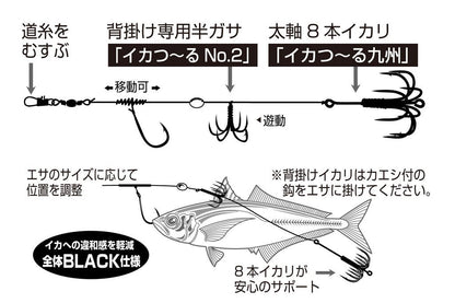 イカ一番 九州スタイル L 2組