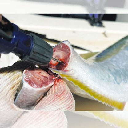 ウォータージェット神経抜き 鉄砲ウオ 33×55×230mm