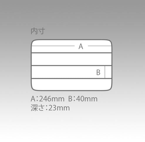 フリーケース 1200NS クリア 255×190×28mm 1個