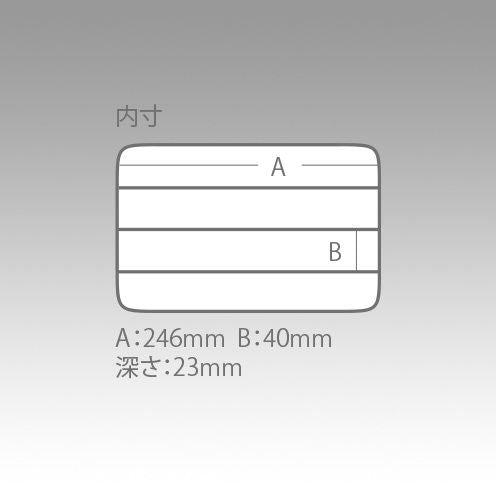 クリア 255×190×28mm 1個