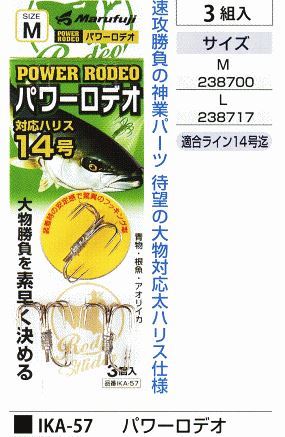 パワーロデオ L 3組入